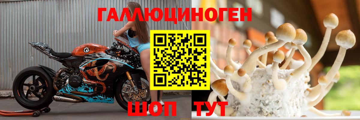 Галлюциногенные грибы ЛСД  как найти закладки  Казань  Вход с VPN 